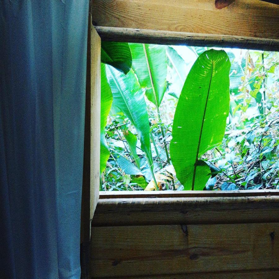 Casa Ranxoxita Hotell Itaipava Exteriör bild