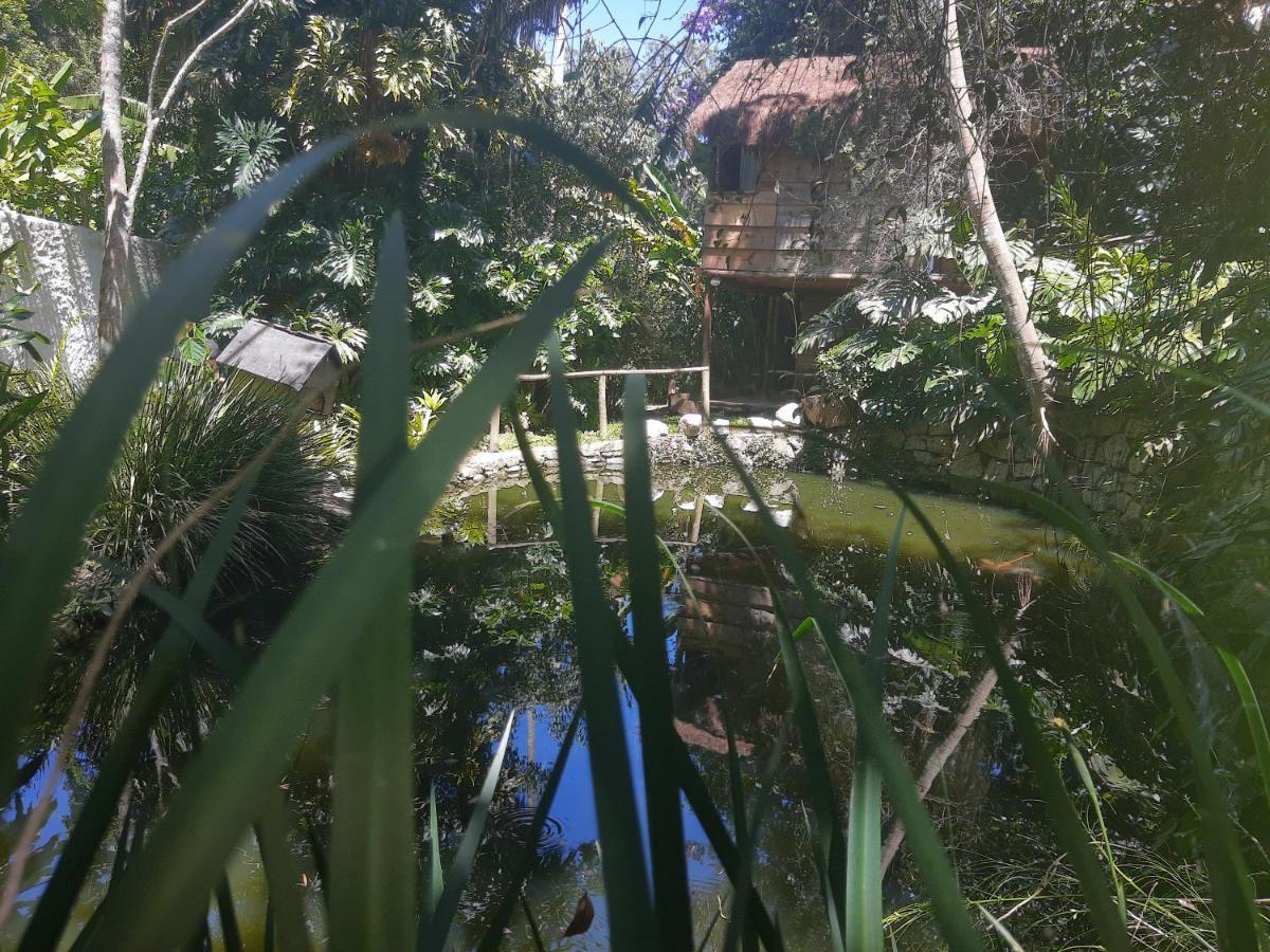 Casa Ranxoxita Hotell Itaipava Exteriör bild