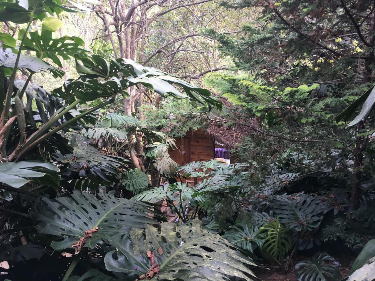 Casa Ranxoxita Hotell Itaipava Exteriör bild